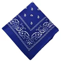 C13-01-86 Royal Blue 658708