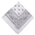 C13-01-04 White 658701