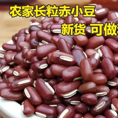 农家野生长粒赤小豆新货种子