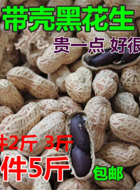 新货生的带壳黑花生 黑皮花生 农家种植黑子紫皮花生米 包邮