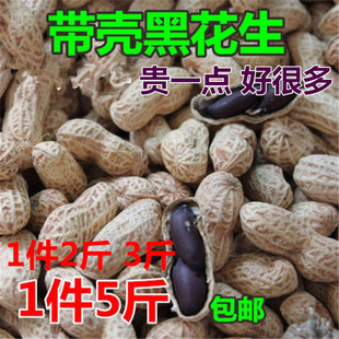 25年新货生的带壳黑花生 黑皮花生 农家种植黑子紫皮花生米 包邮