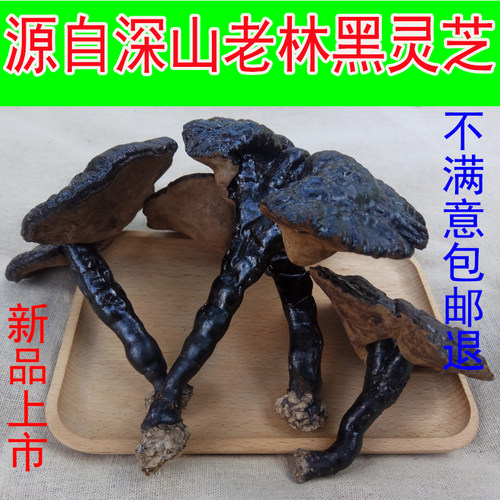 云南深山天然正品半野生黑灵芝
