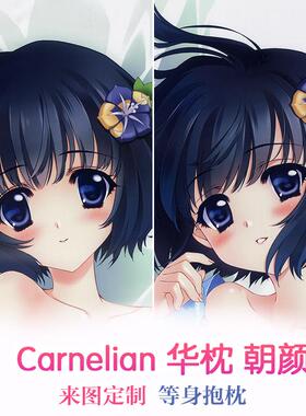 华枕 朝颜（アサガオ） Carnelian 动漫等身抱枕 靠枕2wt抱枕套