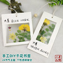24节气镂空书签干花diy材料包手工自制创意植物标本压花书签成品