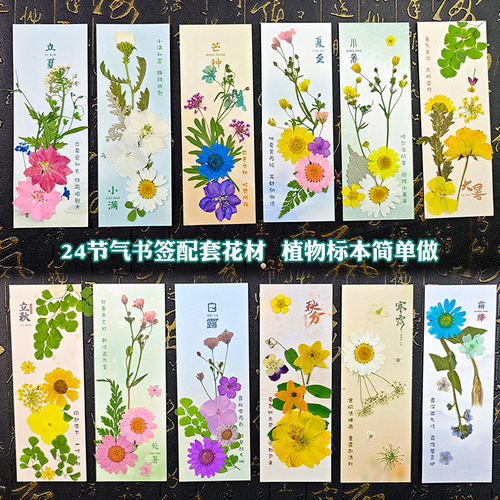 24节气立秋自制干花书签塑封成品