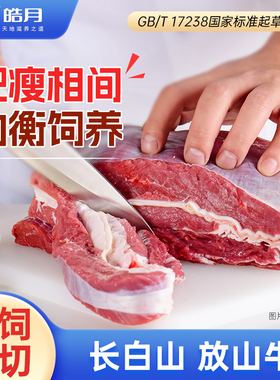 皓月新鲜牛腩东北谷饲黄牛肉整块炖煮红烧原切生鲜冷冻食材
