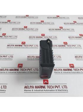 原装供应FOXBORO FBM203 I/A 系列通道隔离 8 输入 RTD,P0914SV