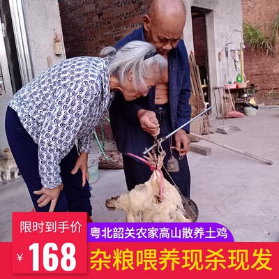 广东韶关农家散养土鸡现杀