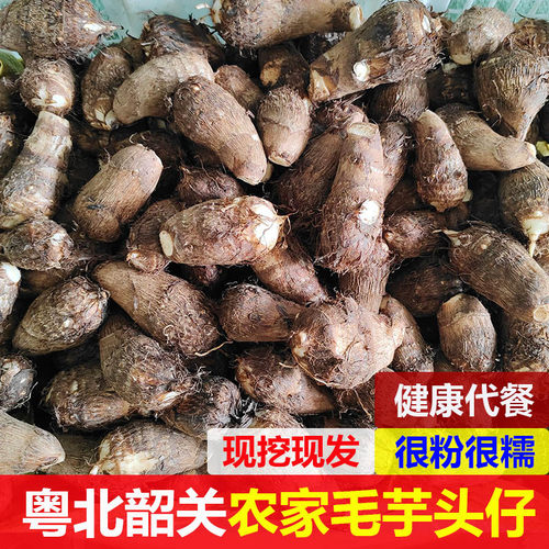 韶关毛芋小芋头5斤装奶香