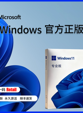 正版win11专业版系统u盘电脑重装Windows10家庭中文版升级Pro纯净