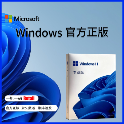win11专业版系统U盘电脑重装