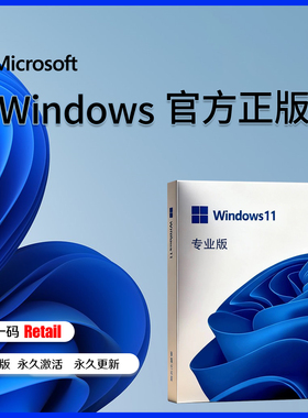 正版win11专业版系统u盘电脑重装Windows10家庭中文版升级Pro纯净