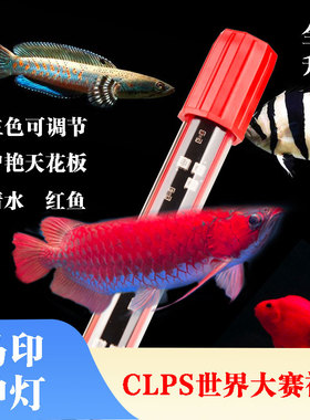 马印龙鱼专用神灯增艳灯plus灯曾艳CLPS赛事雷龙灯红龙鱼缸led灯