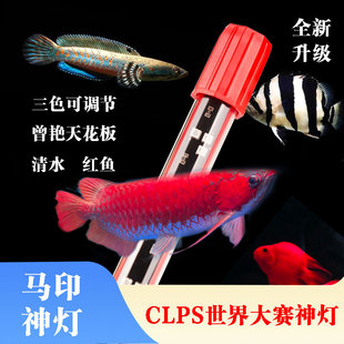 马印龙鱼专用神灯增艳灯plus灯曾艳CLPS赛事雷龙灯红龙鱼缸led灯