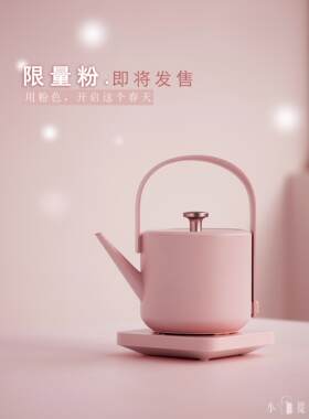 304不锈钢电热水壶小提