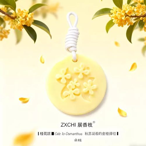 植物精油香氛圆形蜡片持久留香