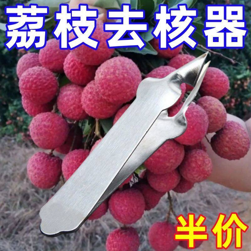 不锈钢龙眼神器荔枝去核取肉器桂圆剥壳工具取核挖肉水果店专用夹