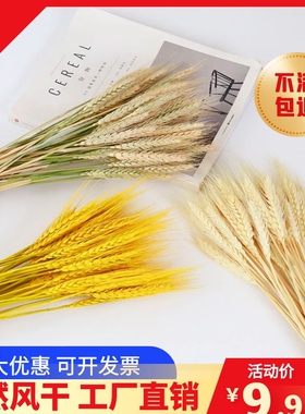 开业场景布置田园装饰麦穗干花
