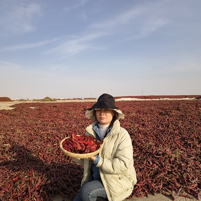 新疆正宗肉辣皮子焉耆肉辣椒安集海线椒辣皮子拌面大盘鸡辣椒调料