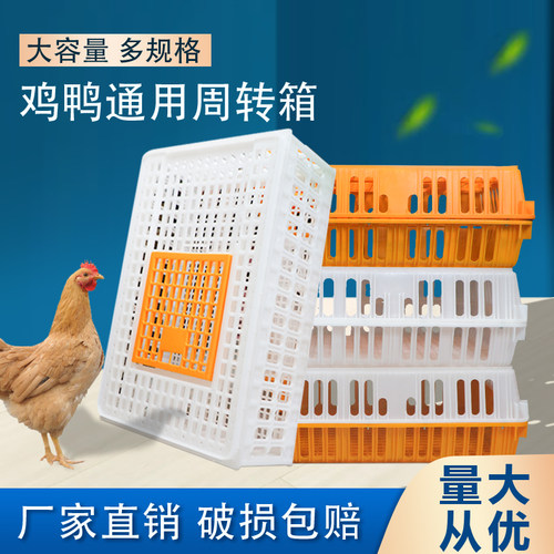 鸡笼运输笼家用室外大号