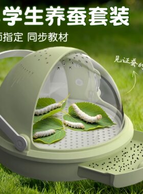 蚕宝宝太空舱活体幼虫三年级小学生养蚕套餐养蚕工具套装金丝蚕卵