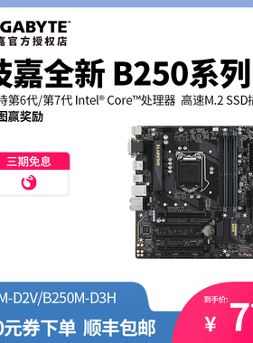 技嘉游戏整机 B250 HD3/B250M-D2V/D3V/D3H/DS3H 台式机电脑主板