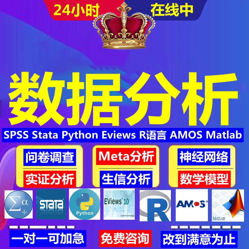 SPSS数据分析服务amos问卷调查eviews实证stata计量统计R代做问卷