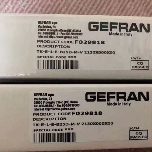 价杰佛伦FRAN温度感测器TK-E-1-E-B25D-M-V 2130X000X00 F029818