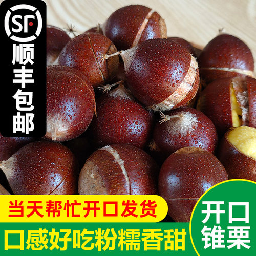 【开口生锥栗】新鲜建瓯锥栗高山油锥粉糯香甜毛栗子板栗福建尖栗
