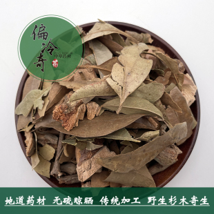 偏冷奇中草药材野生广西杉木寄生杉寄生茶杉树寄生500g食用农产品