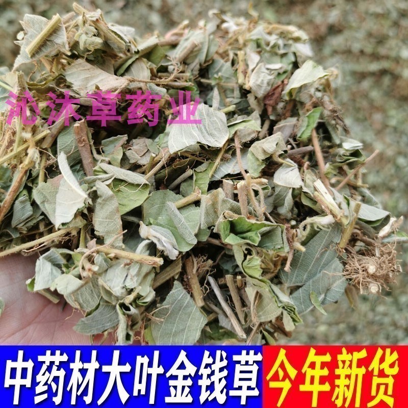 大叶金钱草中草药广金钱草新鲜干货金钱草无硫广西过路黄泡水煮茶 传统滋补营养品 广金钱草 原图主图