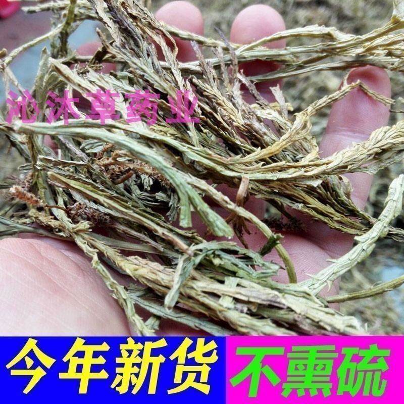 舒筋草中药材马尾伸筋草新鲜干货