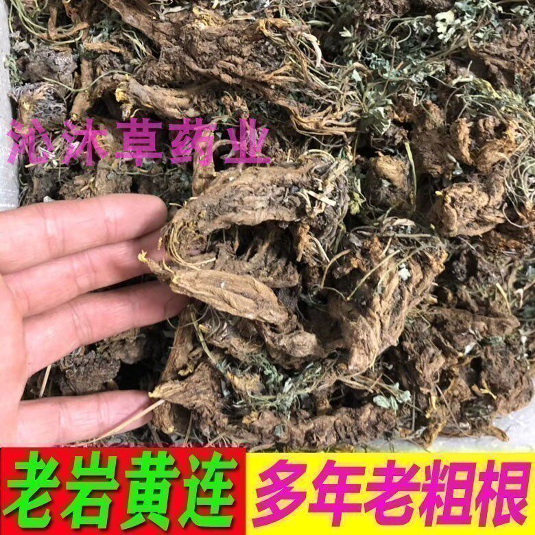 老根岩黄连中药材 岩莲岩黄莲新鲜干货 岩胡250克半斤包邮 可打粉