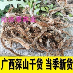 白毛蛇根中草药材阴石蕨石蚕老鼠尾白毛骨碎补石奇蛇祈石龙根岩蚕