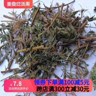 正宗含羞草中药材红骨茎含羞草广西新鲜晒干怕羞草根害羞草感应草