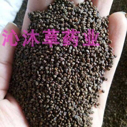 沙苑子中药材500克 沙苑籽泡水泡茶 沙宛子沙苑蒺藜子 可打磨粉