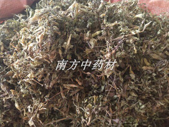 紫花地丁中药材500克正宗