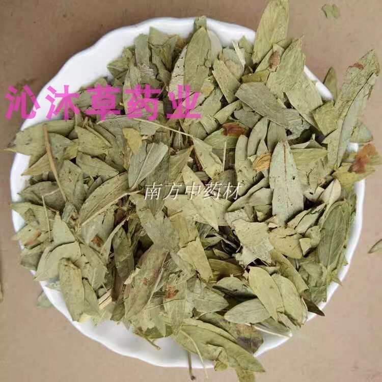 正宗番泻叶500克包邮 新货番茄叶中药材蕃泻叶 番泻叶 无硫无添加