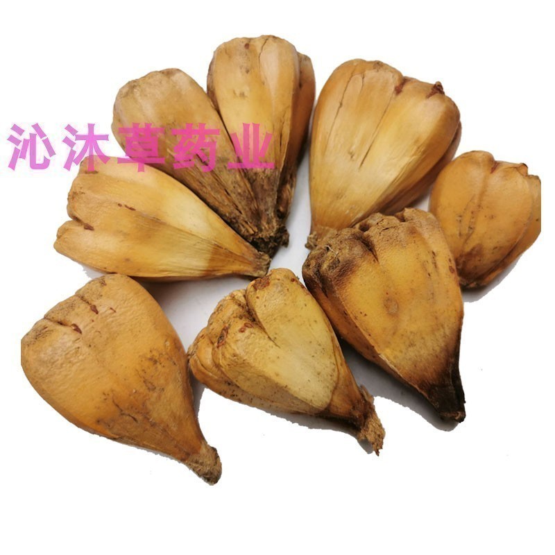 广西山菠萝中药材野菠萝500g新鲜晒干假菠萝华露兜籽滴血莲花原籽