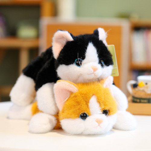 小猫咪公仔毛绒玩具玩偶生日礼物