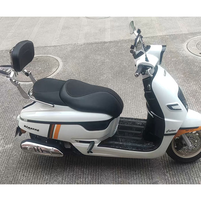 适用南方飞戈150改装折叠靠背 飞戈后货架靠背加大后靠背靠垫,摩托车/装备/配件,摩托车坐垫,淘宝优惠券,粉丝福利购,淘宝优惠卷