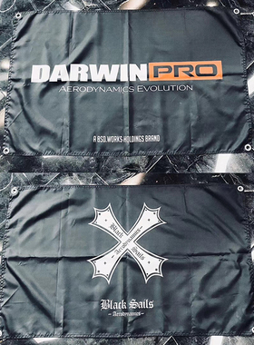 DarwinPRO BlackSails 品牌挂旗