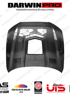 DarwinPRO 奥迪 RS6 S6 A6 BlackSails 改装 碳纤维 透明机盖