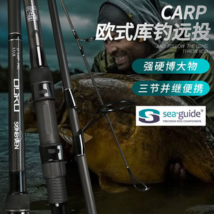 鲤鱼竿 三本欧鲤库钓竿carp竿3.6m3.9米欧洲库钓远投竿3节并继欧式