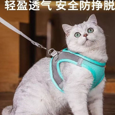 猫绳牵引绳防挣脱不勒脖遛猫神器