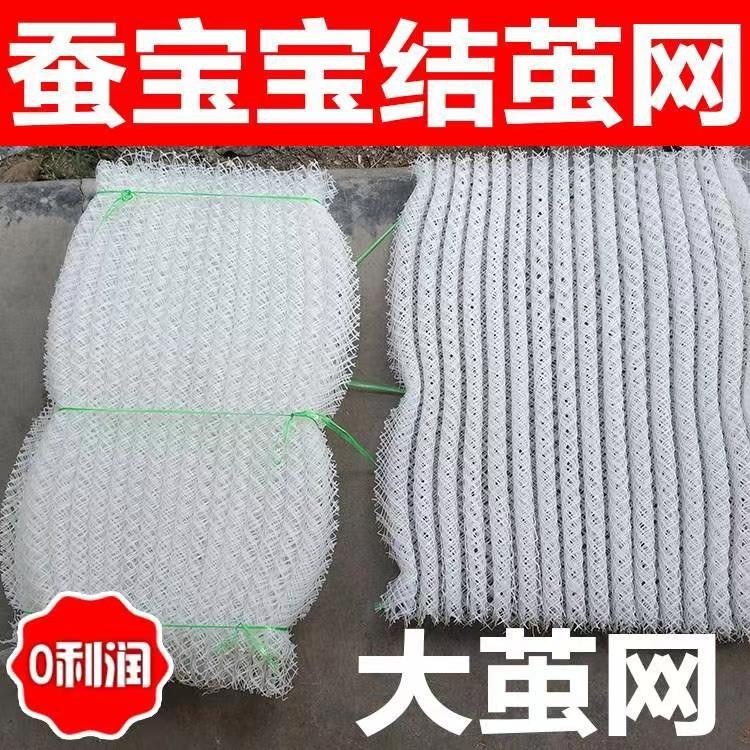 白蚕活体春蚕质量宠物桑蚕茧网结蚕宝宝促销结专用茧网结茧网批发图片
