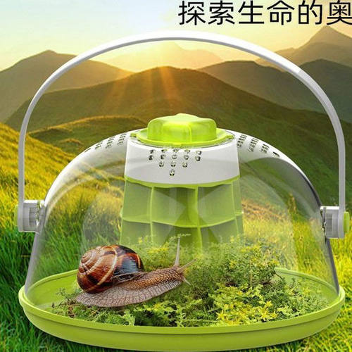 小学生科普大小白玉蜗牛观察舱