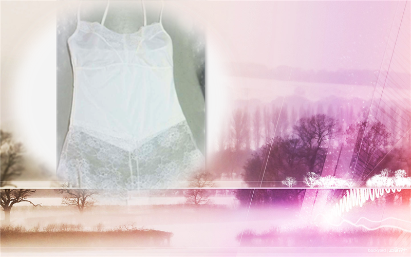 Sous-vêtement minceur simple en autre - Ref 688574 Image 3