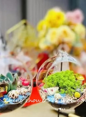 微景观多肉植物微景观生态瓶玻璃吊球含支架手工暖场活动