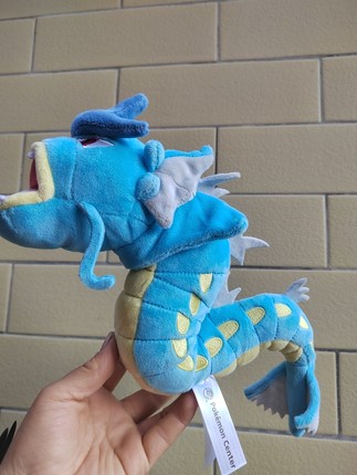 孤品龙系列可梦pokemon fit金银毛绒公仔玩偶
